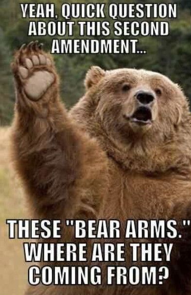 Bill of Rights - Right To Bear Arms